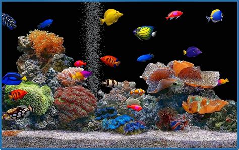 aquarium screensavers|More.